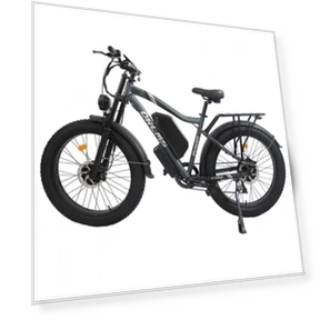 Electric Bike — E-Bikes, Orlms