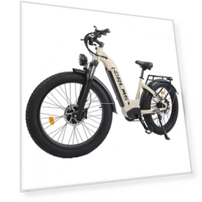 Electric Bike — Electric Self-Balancing Scooters, Orlms