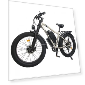Electric Bike — E-Bikes, Orlms