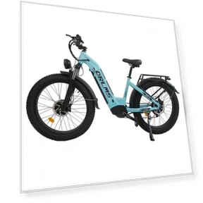 Electric Bike — E-Bikes, Orlms