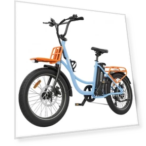 Electric Bike — Electric Self-Balancing Scooters, Hidoes