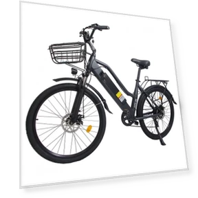 Electric Bike — Electric Self-Balancing Scooters, Orlms