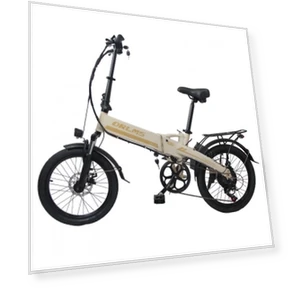 Electric Bike — Electric Self-Balancing Scooters, Orlms
