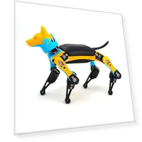 Robot Dog Kit — Robotics Foundations, Petoi