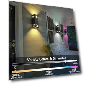 Outdoor Smart Wall Lights — LED, Zinola