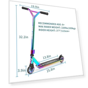 Stunt Scooter for Kids and Beginners — Scooters & Gear, LEADER RIDER