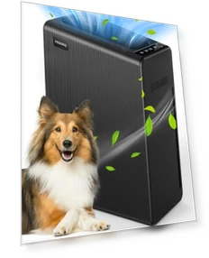 Large Room Air Purifier — HEPA Air Purifiers, Mooka Family