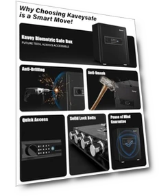 Cub Biometric Safe Box — Biometric Security, Kavey