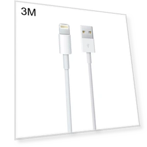 Sync Data / Charging Cable — Lightning