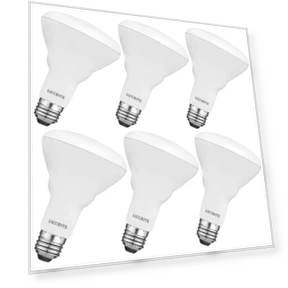 6-Pack BR30 LED Bulb — Compact Fluorescent, LUXRITE