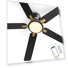 Smart Ceiling Fan with Lights — Ceiling Fan Wall Controls, SMAAIR