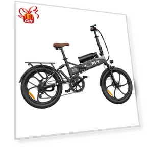 Electric Bike — E-Bikes, PVY