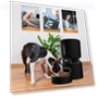 Thumbnail Smart Timed Auto Pet Feeder for Dogs and Cats — Automatic Feeders, Tuya