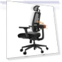 Thumbnail Ergonomic Office Chair with Auto-Following Backrest and Adjustable Headrest — Back & Seat Cushions, NEWTRAL