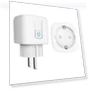 16A EU Plug Smart Socket with Countdown and Voice Control — Smart Home Modules, Other