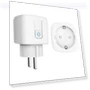 16A EU Plug Smart Socket with Metering and Voice Control — Smart Home Modules, Other