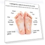 Превью Microcurrent Intelligent Foot Pad Foot Massage Pad — Foot Care Solutions