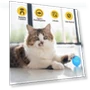 Thumbnail Smart Pet Cat Toy Ball Luminous Yo-Yo Remote Control — Cat Playthings, C2
