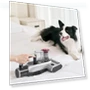 Thumbnail Cordless Bed Vacuum Cleaner for Mattresses, Dual Cup Design, Smart Dust Sensor — Vacuums, JIMMY