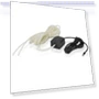 Differential Pressure and Temperature Sensor — Sensors, Aten