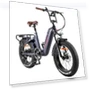 Master E-bike — Electric Self-Balancing Scooters, Fafrees