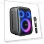Karaoke Party Speaker with Wireless Microphone — Portable Audio Solutions, Tronsmart