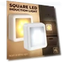 Automatic LED Night Light with Motion Sensor — Night Lights