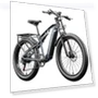 Fat Tire Mountain E-Bike — E-Bikes, Shengmilo