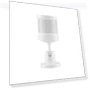 Zigbee Smart PIR Motion Sensor — Motion Sensors, MOES