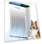 Thumbnail Air Purifier for Large Rooms up to 1400 Ft² with Air Quality Monitor — Electrostatic Air Purifiers, ECOSELF