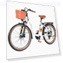 City Commuting Electric Bike — Electric Self-Balancing Scooters, DYU