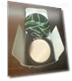 Thumbnail Air Cushion CC Cream Mushroom Head Foundation — Foundation, SuperThinker