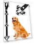 Превью Premium Adjustable Dog Doorbells for Potty Training — Doorbells, BLUETREE