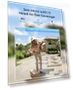 Превью 2K Wireless Video Doorbell Camera with Head-to-Toe View — Smart Home Security, Reolink