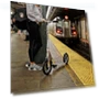 Превью A6 Kick Scooter for Kids Ages 8+ - Extra-Tall Handlebars & Longer Deck — Push Scooters, Razor