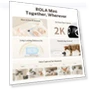 Thumbnail Movable Pet Camera Robot with 2K Resolution and Night Vision — Security & Surveillance Robots, Enabot