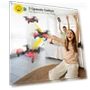 Превью Foldable Mini Nano RC Drone with Altitude Hold and 3D Flips — Flying Toys, Holy Stone