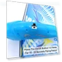 Thumbnail Self Flying eBird - Electronic Flying Bird Drone Toy — Toys, MUKIKIM