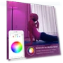 Thumbnail Full Color Changing Dimmable Smart WiFi Light Bulbs — LED, Kasa Smart