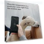 Thumbnail Smart Sensor 2 Pack - Comfort, Security, Energy Savings — Smart Home Security, ecobee