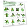Превью STEM 13-in-1 Education Solar Power Robots Toys for Kids — Solar Power, Bottleboom