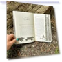 Превью The Wild Robot Book Volume 1 — Children's Books, Little, Brown Books for Young Readers