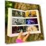 Превью The Wild Robot Book Volume 1 — Children's Books, Little, Brown Books for Young Readers