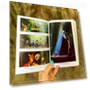 Превью The Wild Robot Book Volume 1 — Children's Books, Little, Brown Books for Young Readers