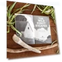 Превью The Wild Robot Escapes - Children's Adventure Book — Children's Books, Little, Brown Books for Young Readers