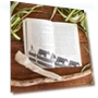 Превью The Wild Robot Escapes - Children's Adventure Book — Children's Books, Little, Brown Books for Young Readers