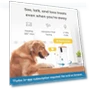 Превью 360° Dog Camera + Nanny Bundle — Cameras & Monitors, Tomofun, LLC