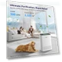Превью HEPA Air Purifier for Large Rooms — Activated Carbon Air Purifiers, KNKA