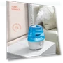 Превью Cool Mist Humidifier — Air Moisturizers, Peach Street