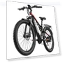 Thumbnail Electric Bike — Electric Self-Balancing Scooters, RANDRIDE
